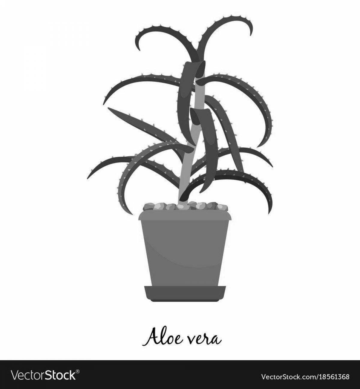 Great aloe coloring book for kids