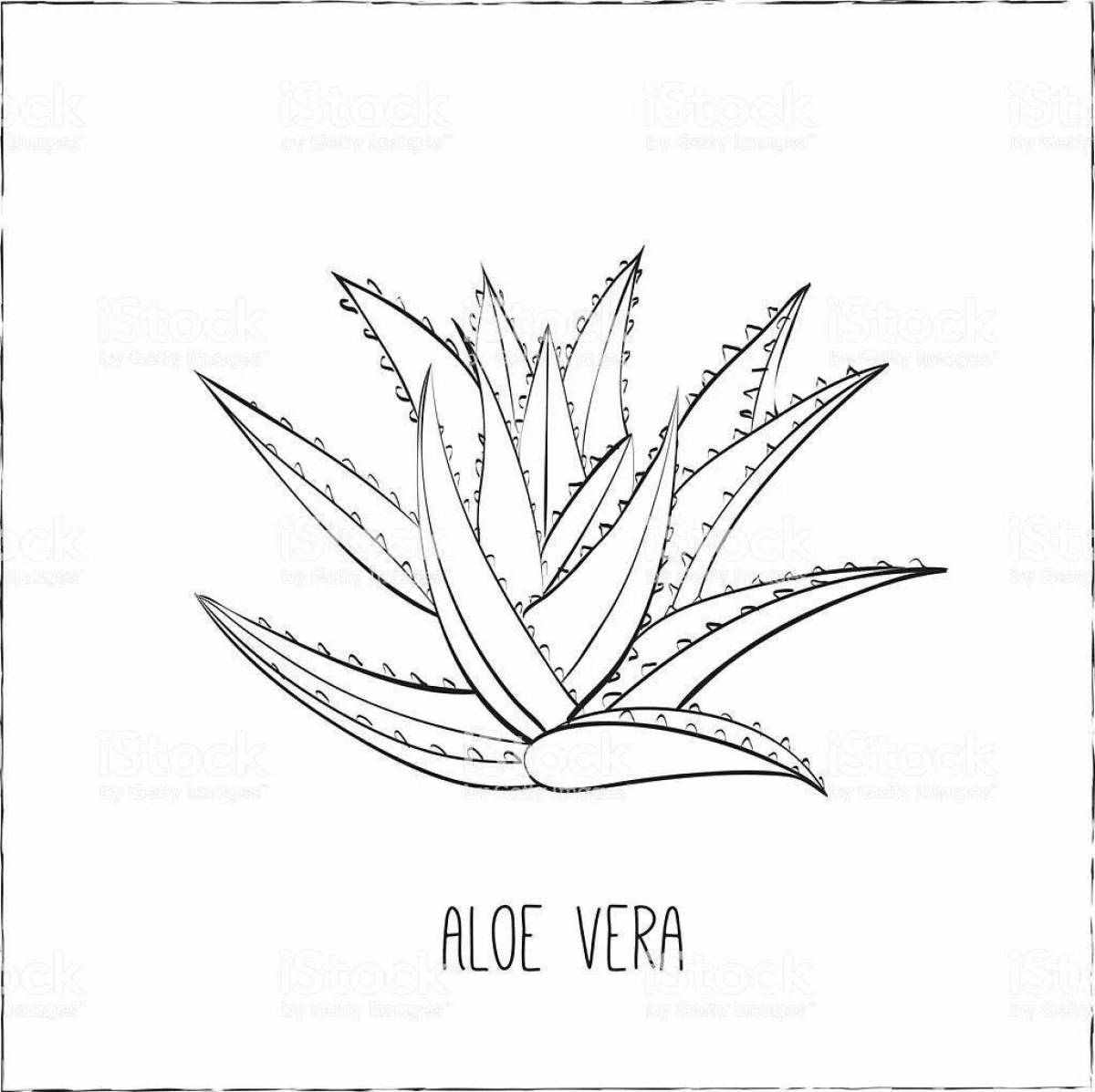 Charming aloe coloring book for babies