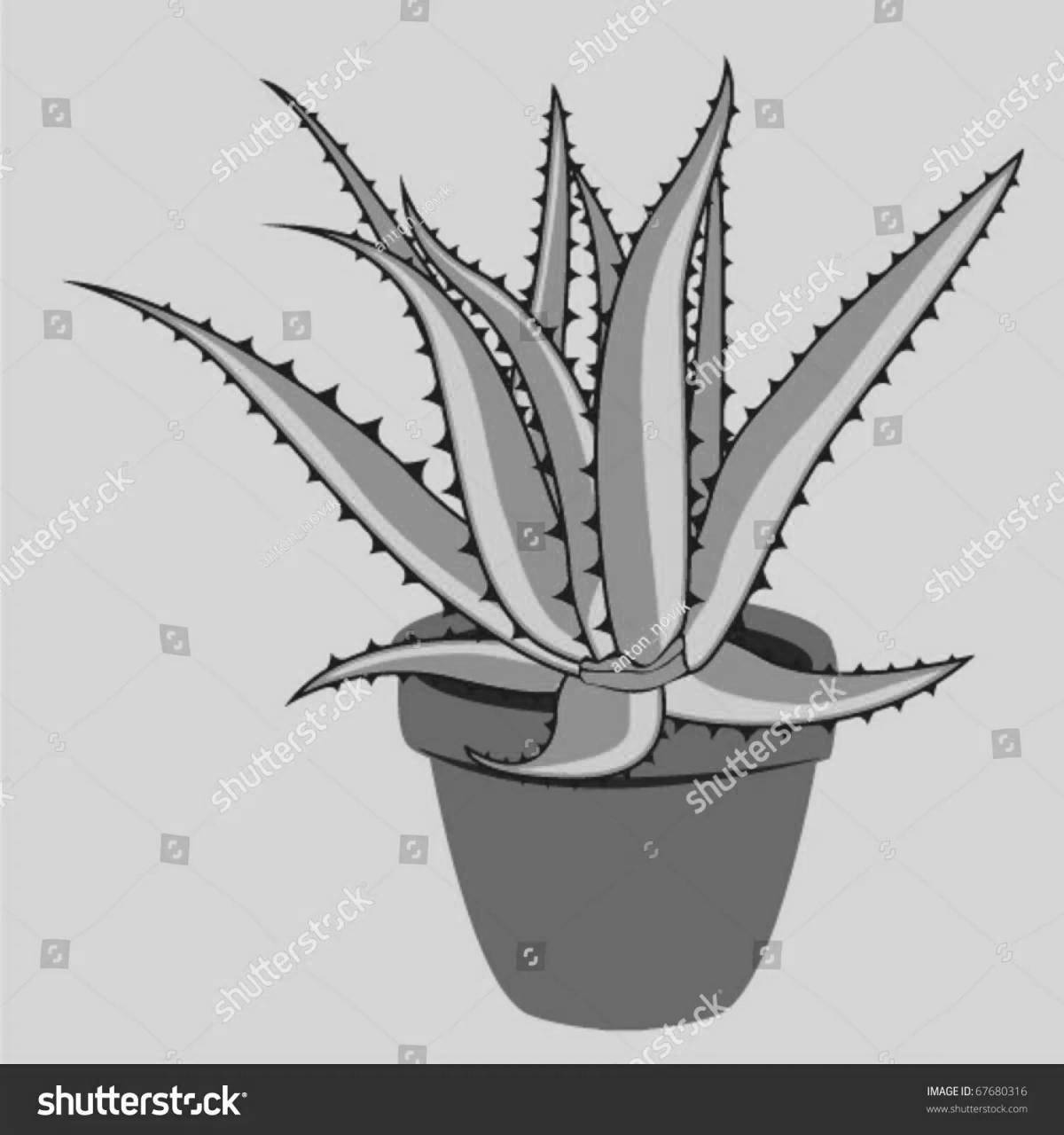 Lovely aloe coloring page for juniors