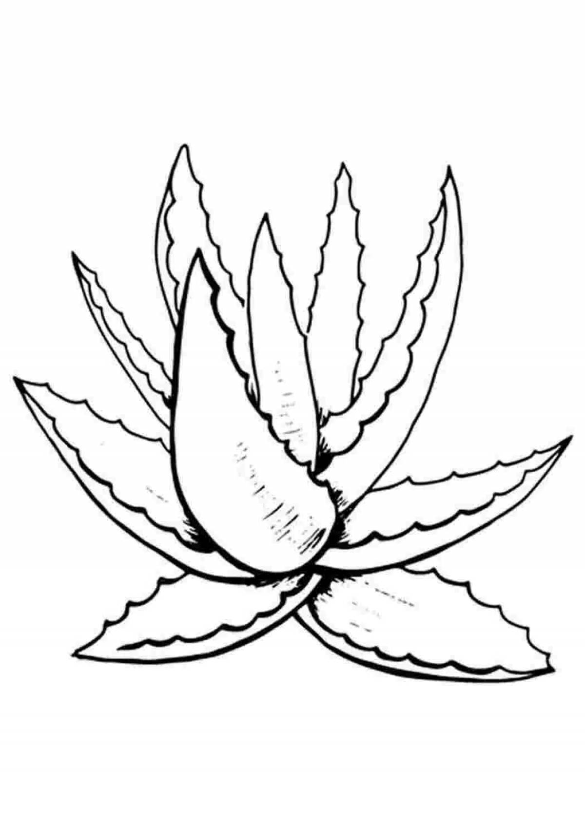 Dazzling aloe coloring page for kids