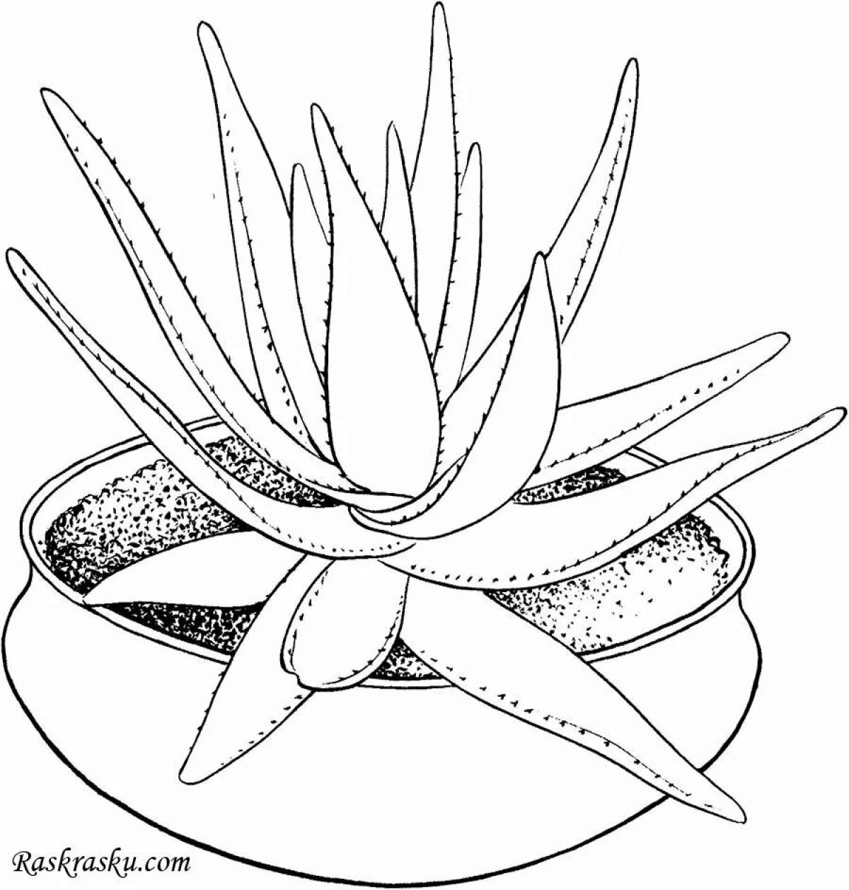 Charming aloe coloring book for juniors