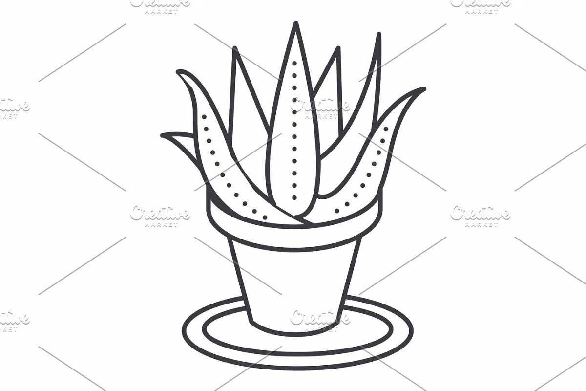 Great aloe coloring book for students