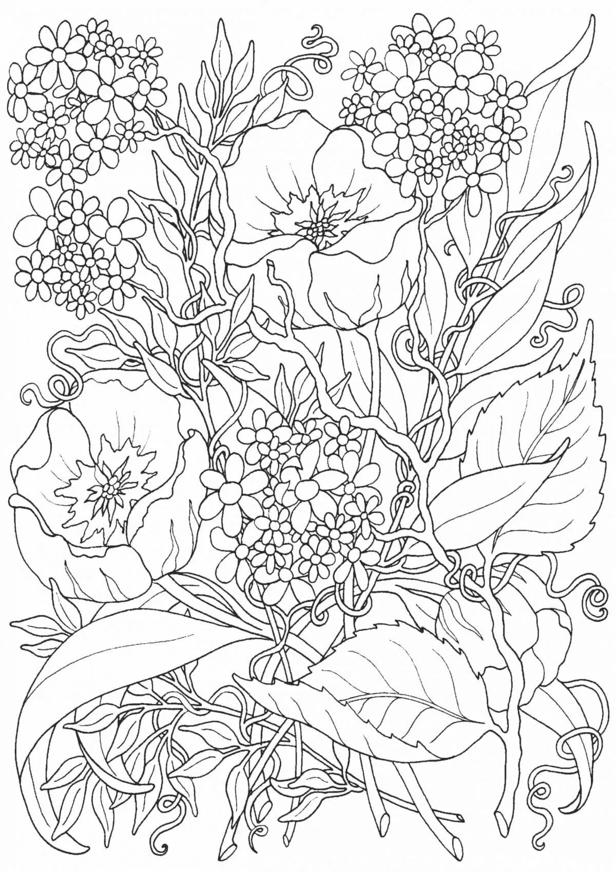 Delightful coloring book, beautiful for all adults