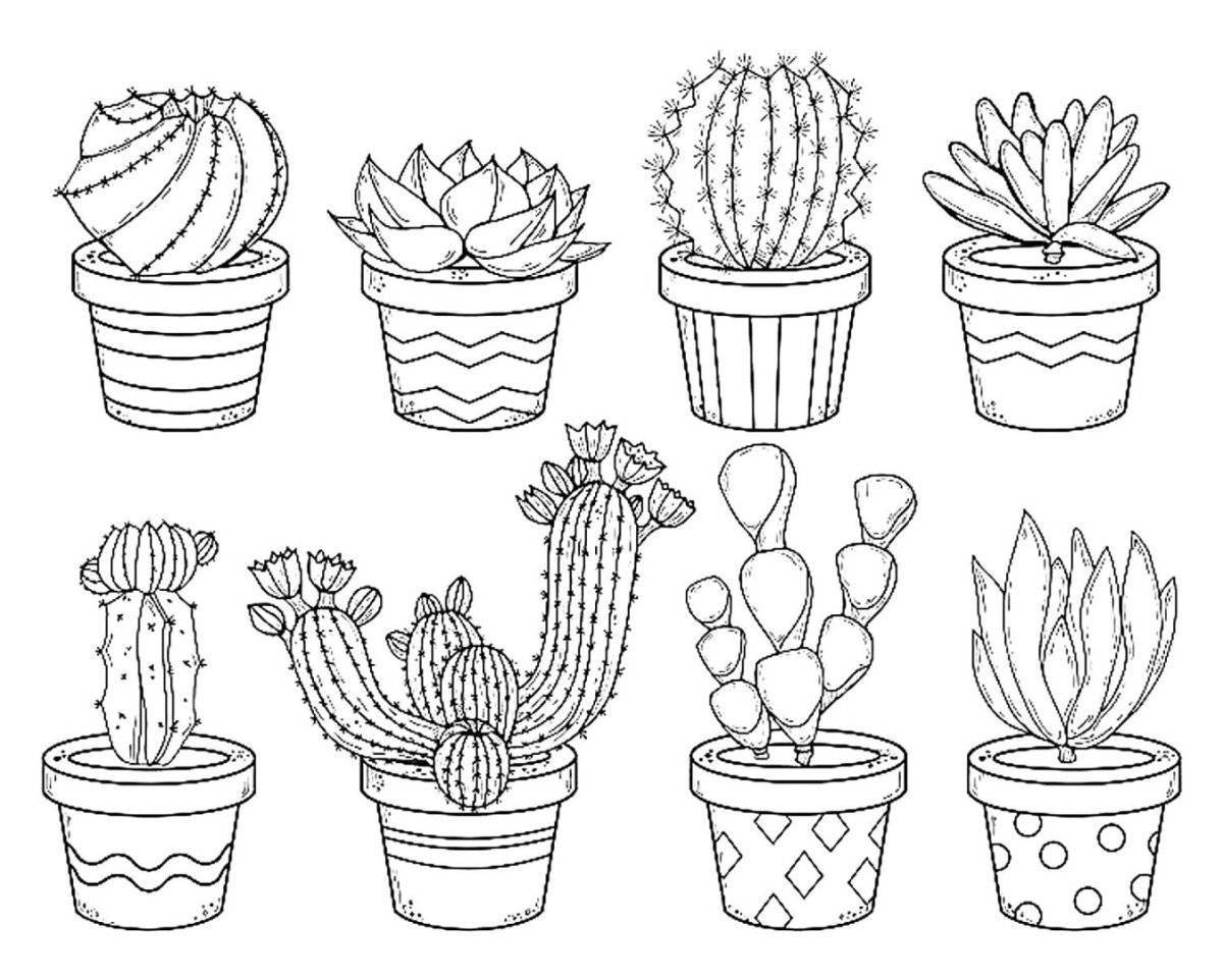 Colorful indoor plants coloring page for preschoolers