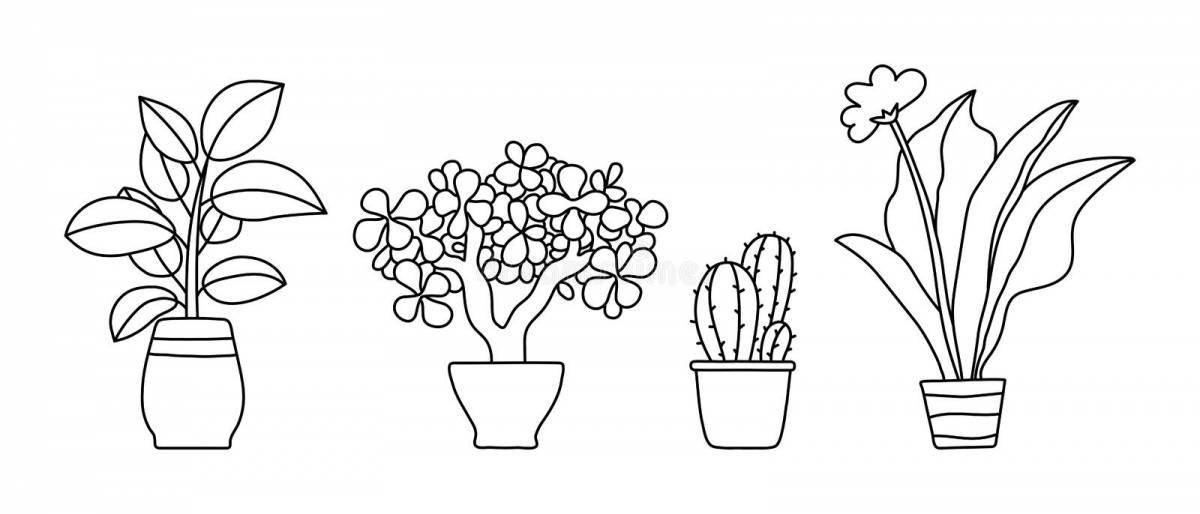 Cute houseplant coloring book for preschoolers