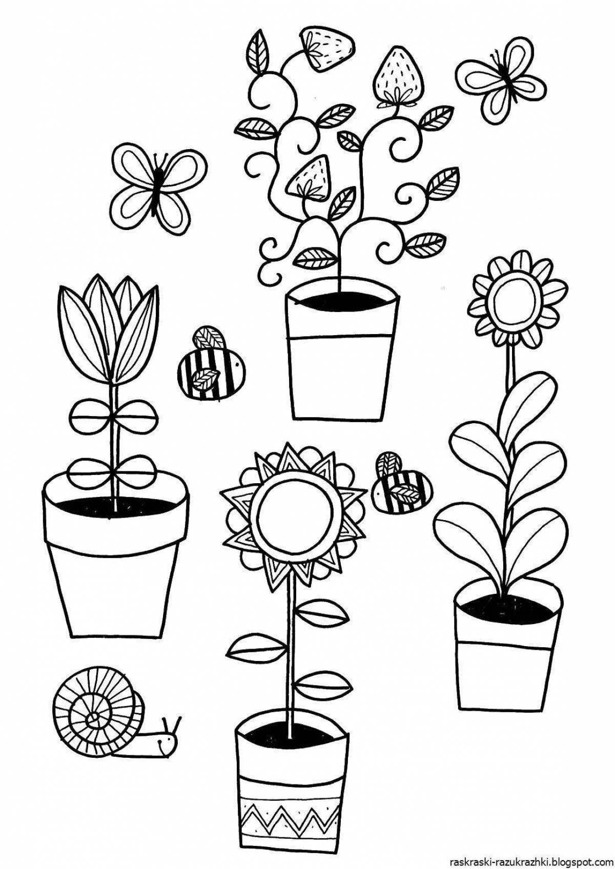 Креативная раскраска комнатных растений для дошкольников