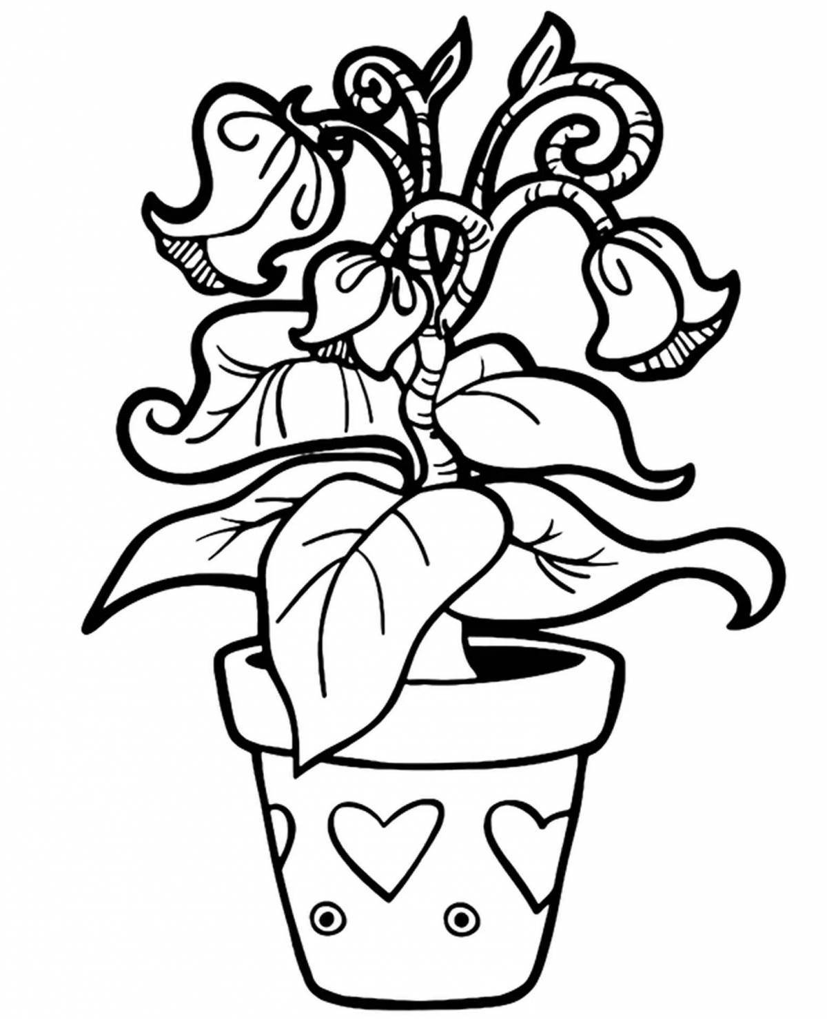 Humorous houseplant coloring book for preschoolers