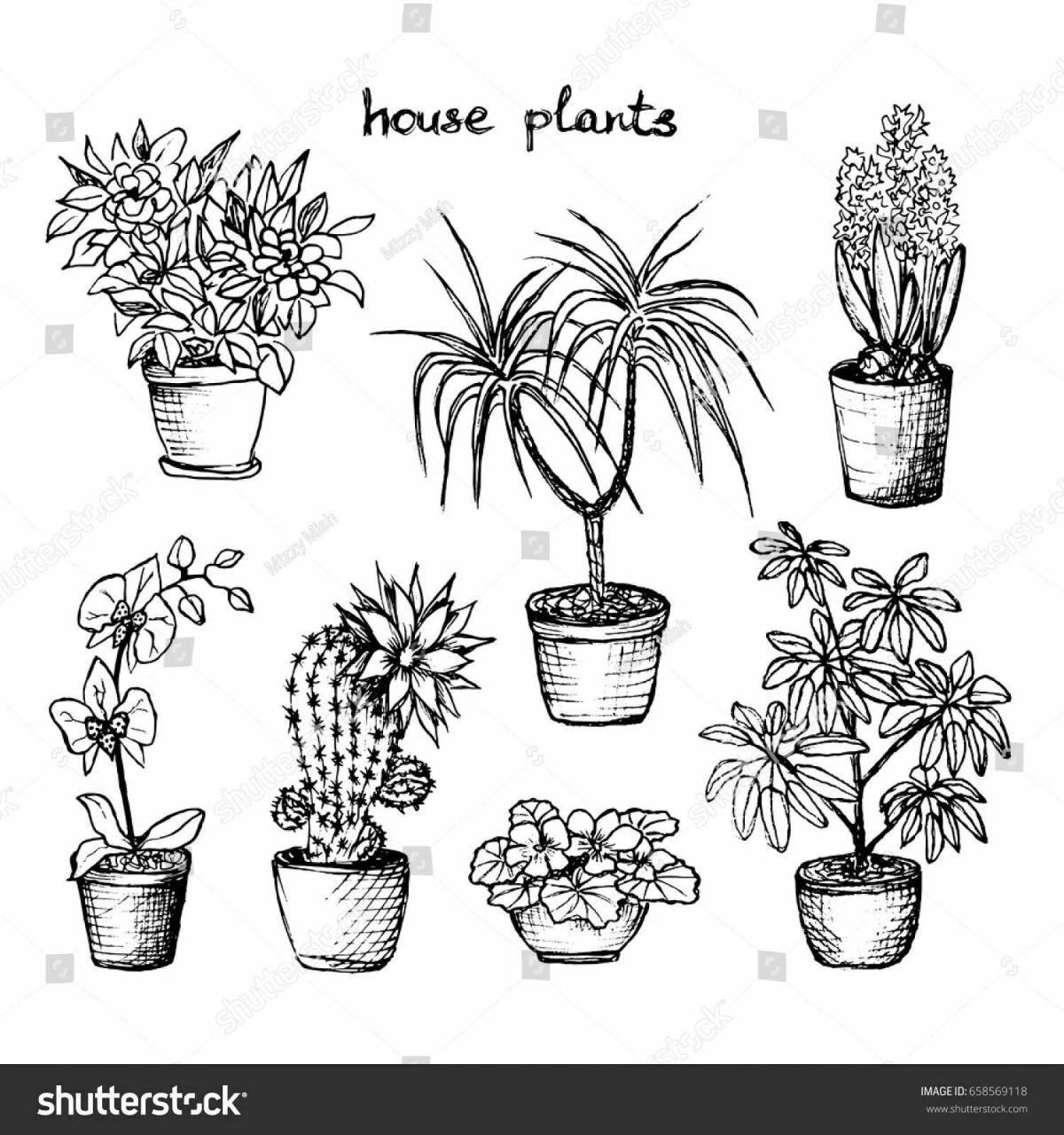 Раскраска с яркими комнатными растениями для дошкольников
