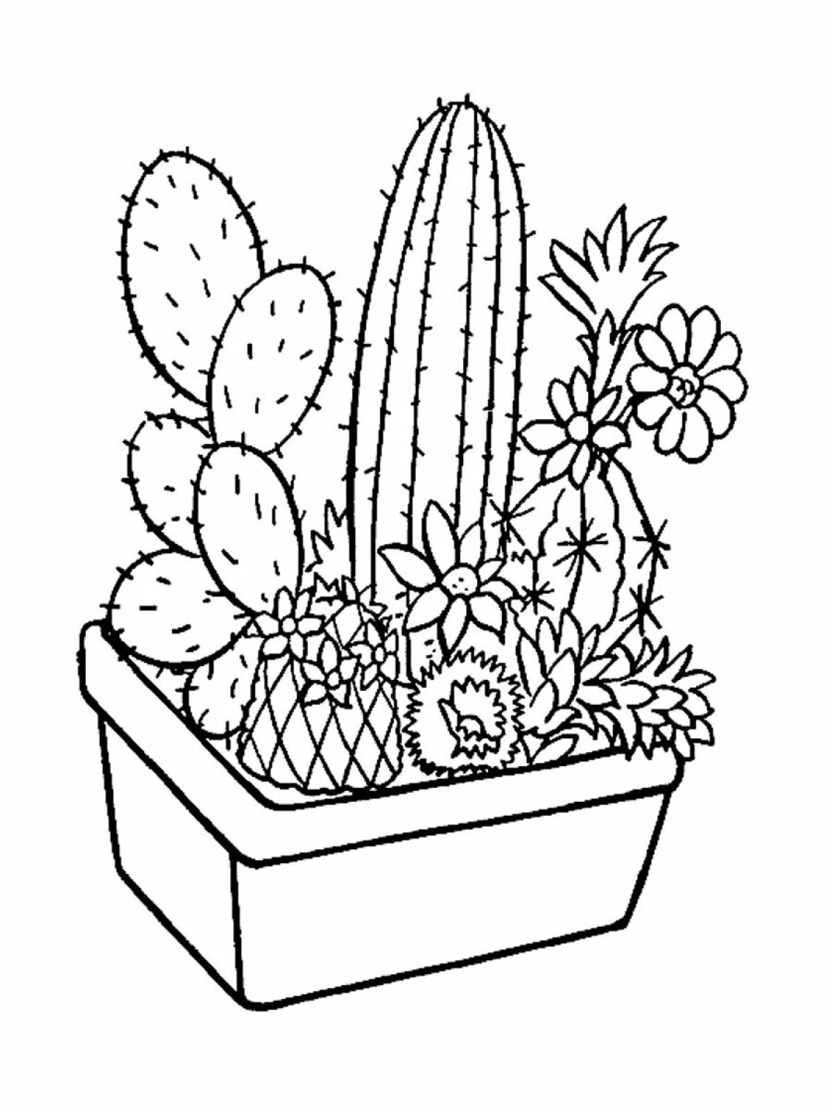 Coloring book elegant indoor plants for preschoolers