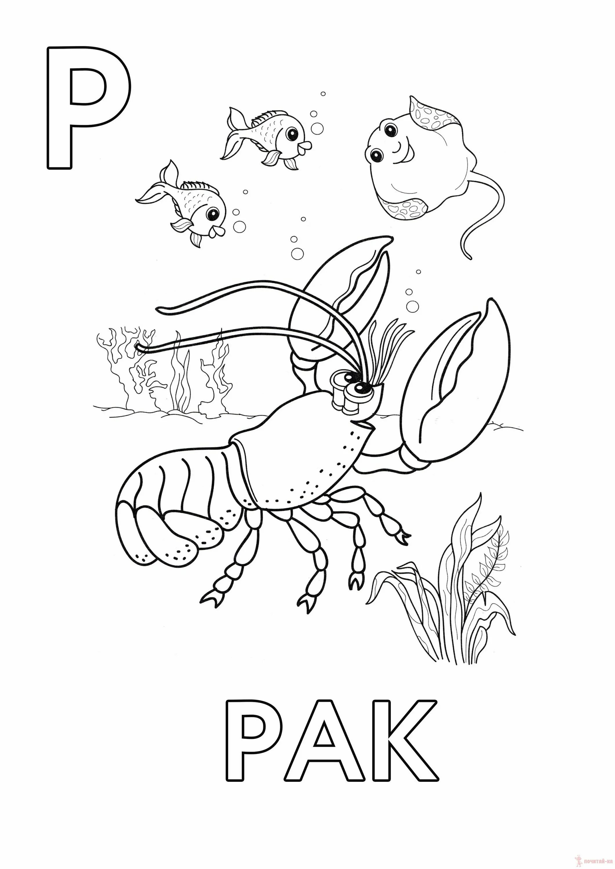 Coloring book with the letter p for preschoolers