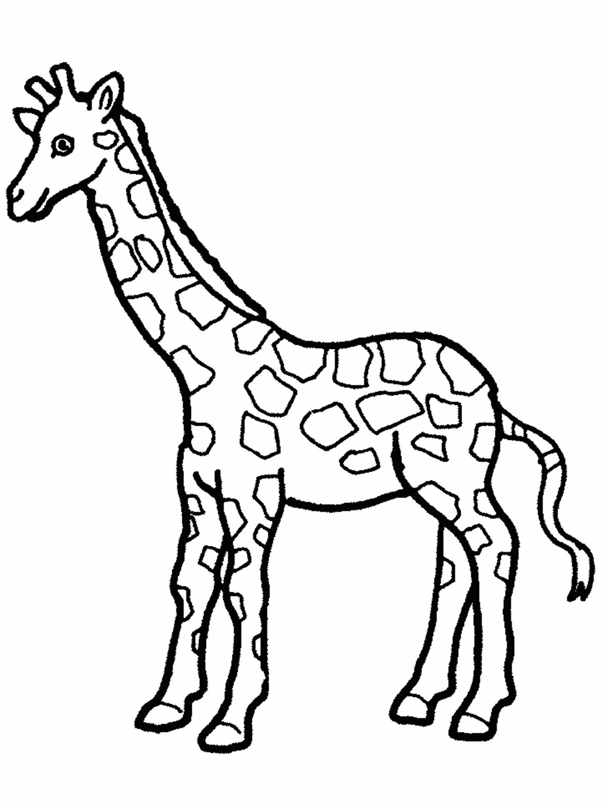 Раскраска очаровательный жираф для детей 6-7 лет