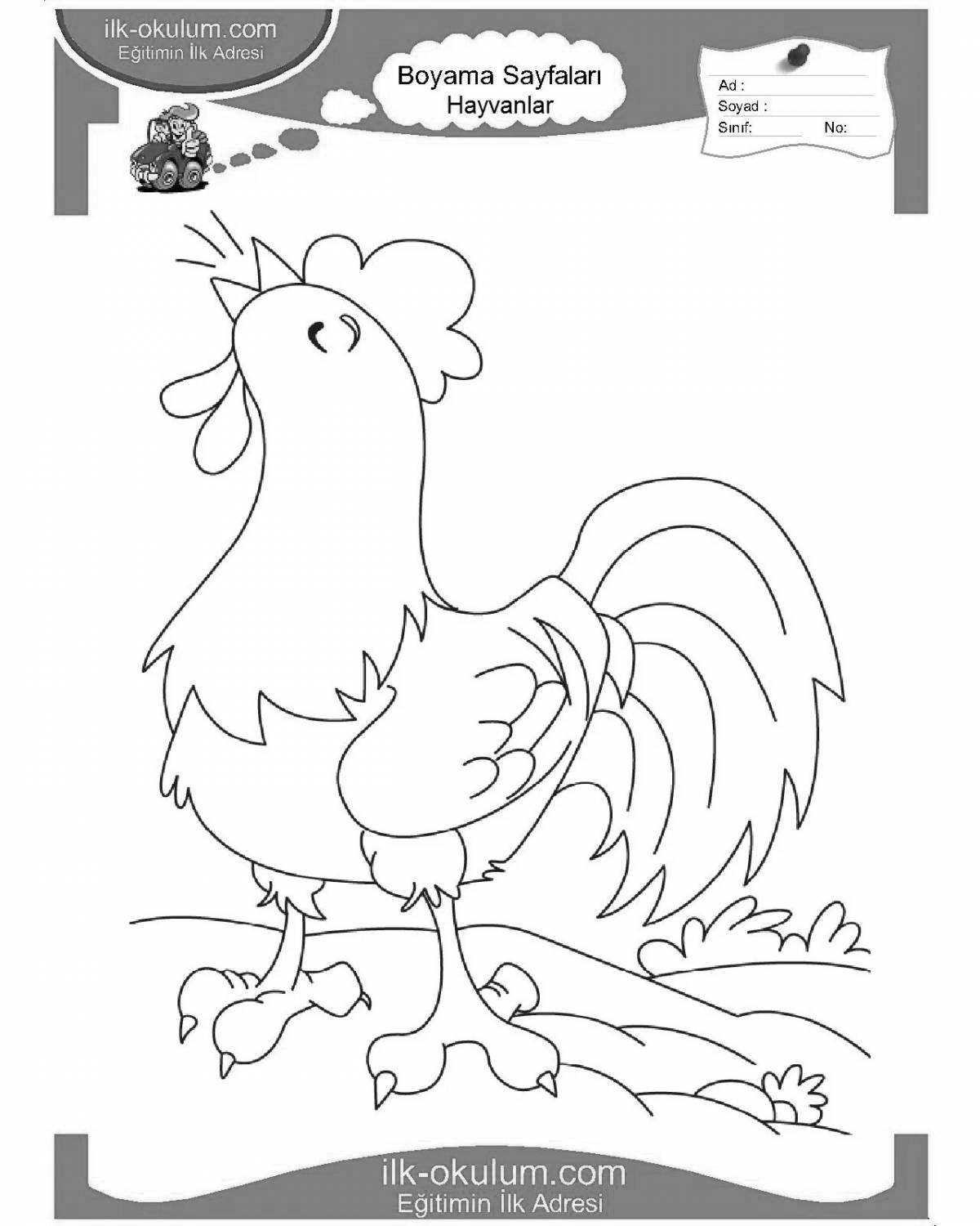 Magic rooster coloring book for children 6-7 years old