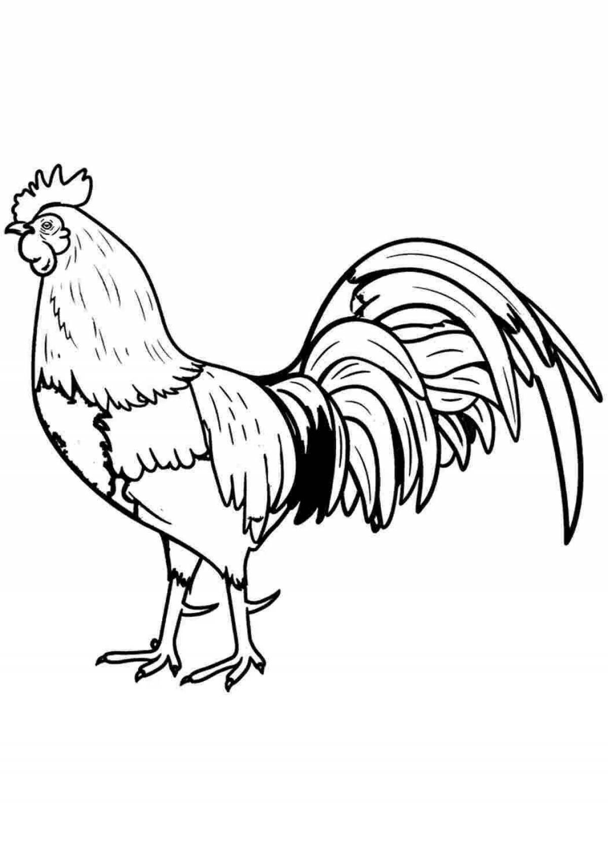 Rooster inspirational coloring book for 6-7 year olds
