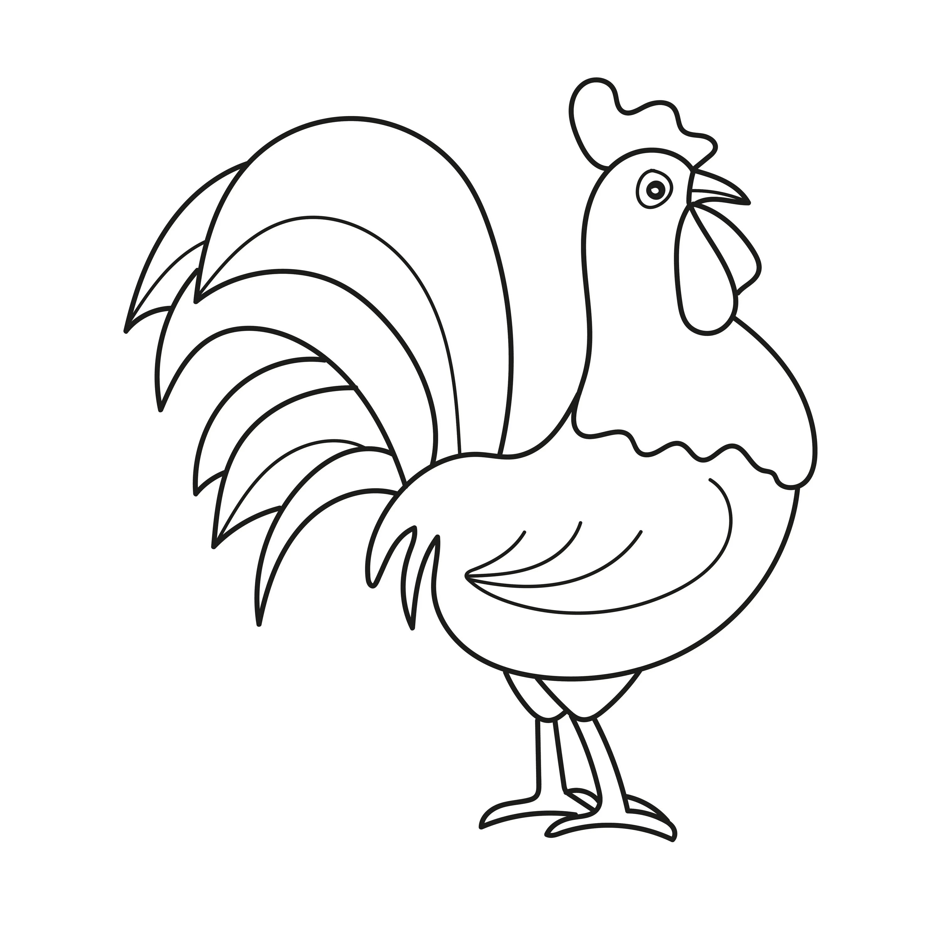 Coloring page friendly rooster for children 6-7 years old