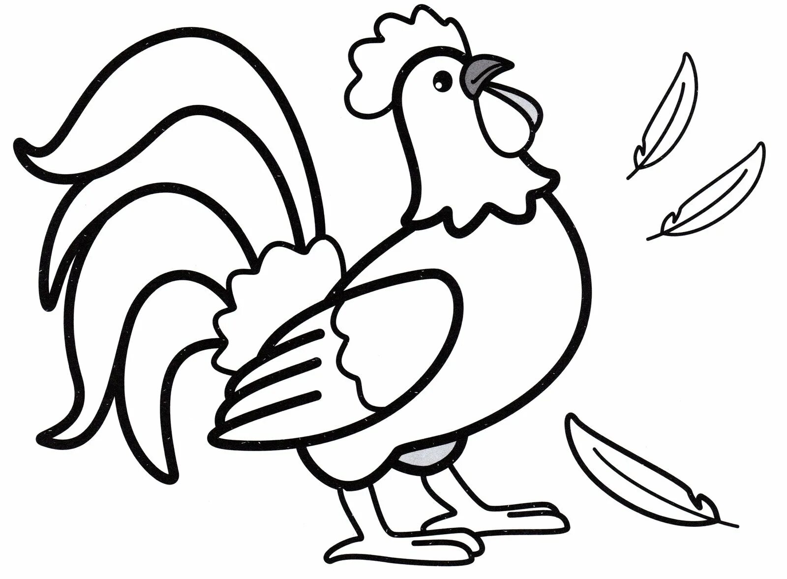 Attractive rooster coloring book for 6-7 year olds