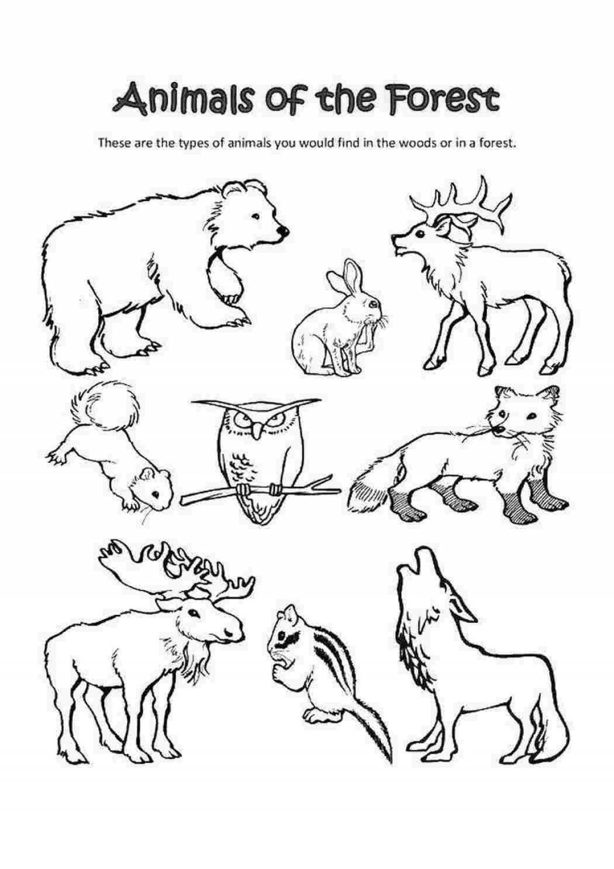 Веселая раскраска диких животных для дошкольников