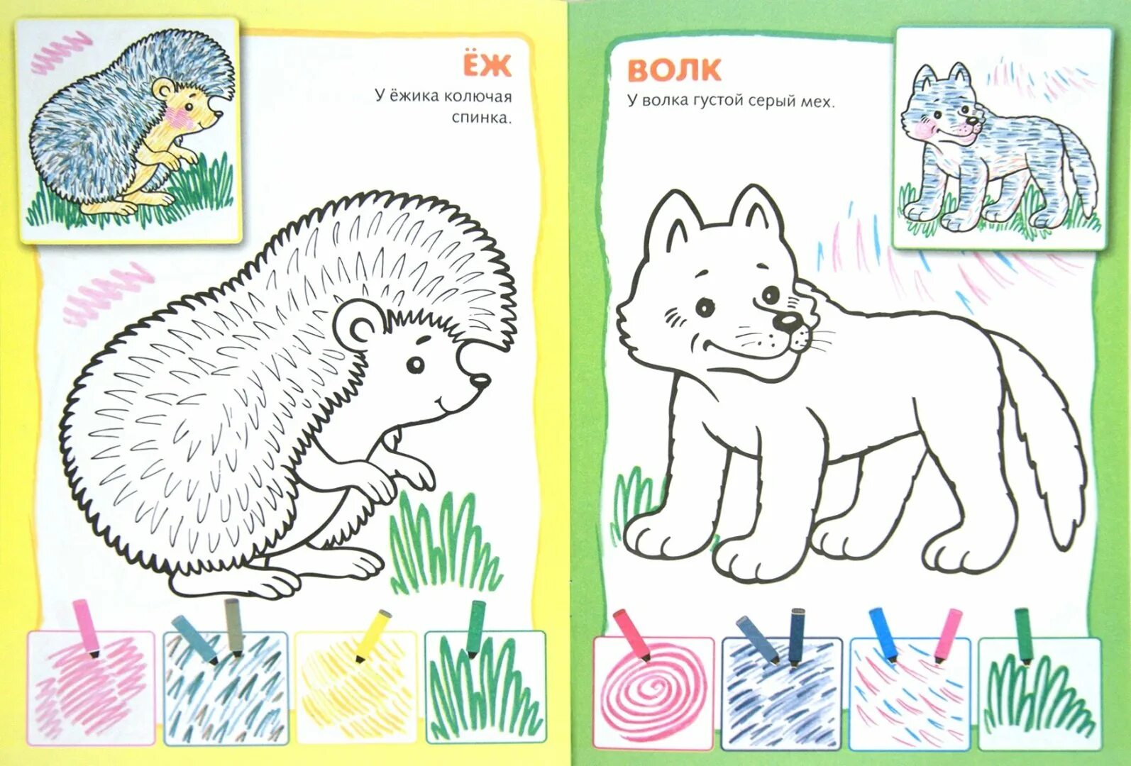 Блестящая раскраска диких животных для дошкольников