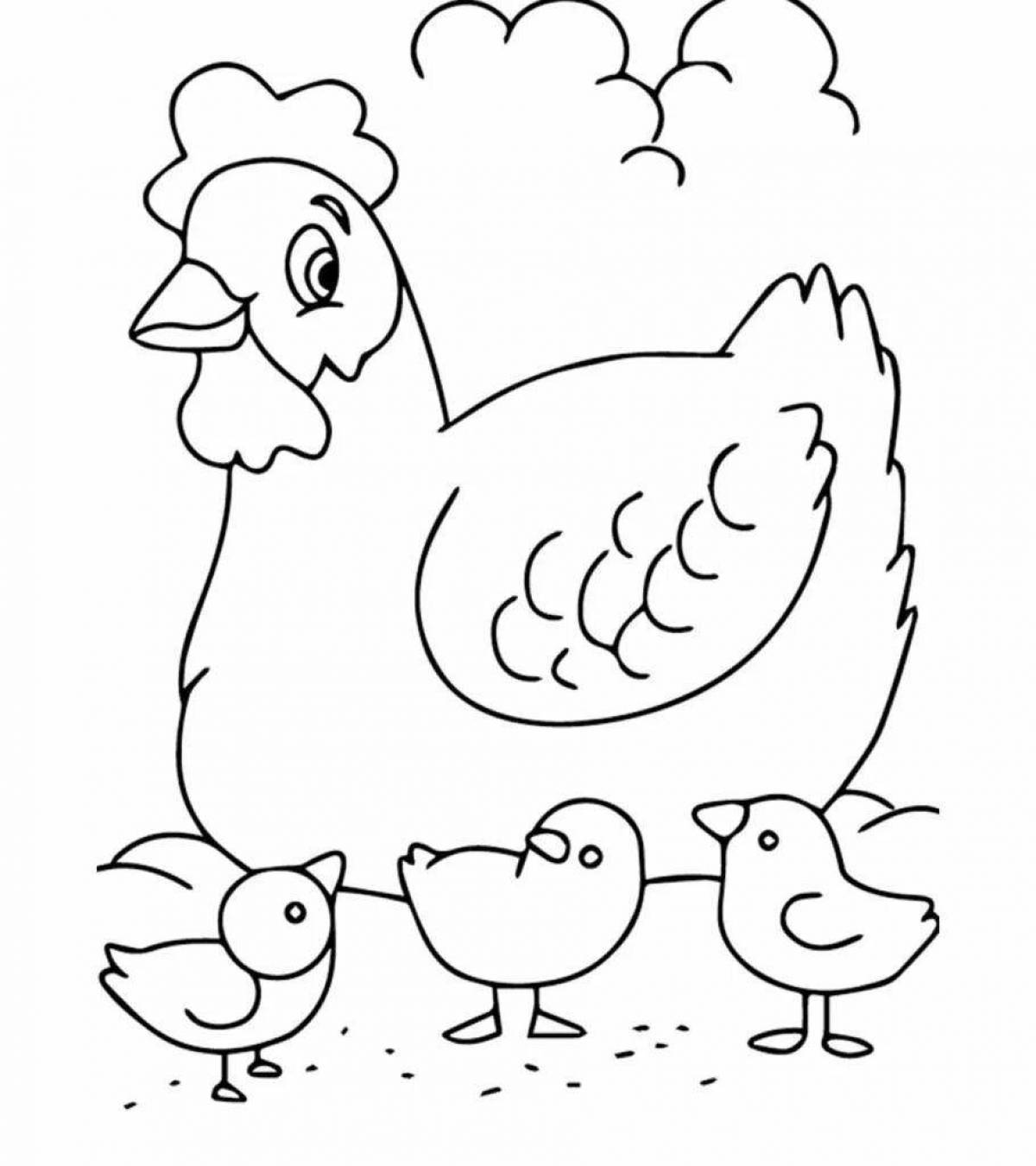 Chicken bright coloring for kids