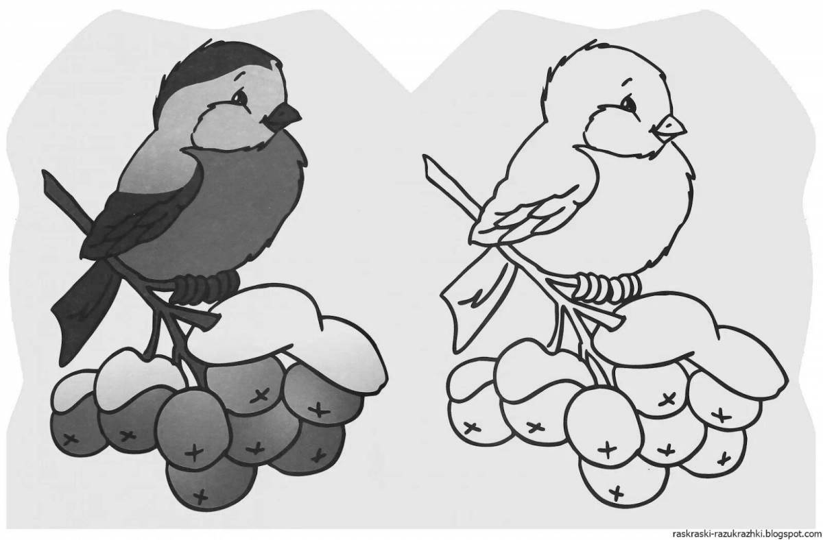 Увлекательная раскраска «зимние птицы» для детей 3-4 лет