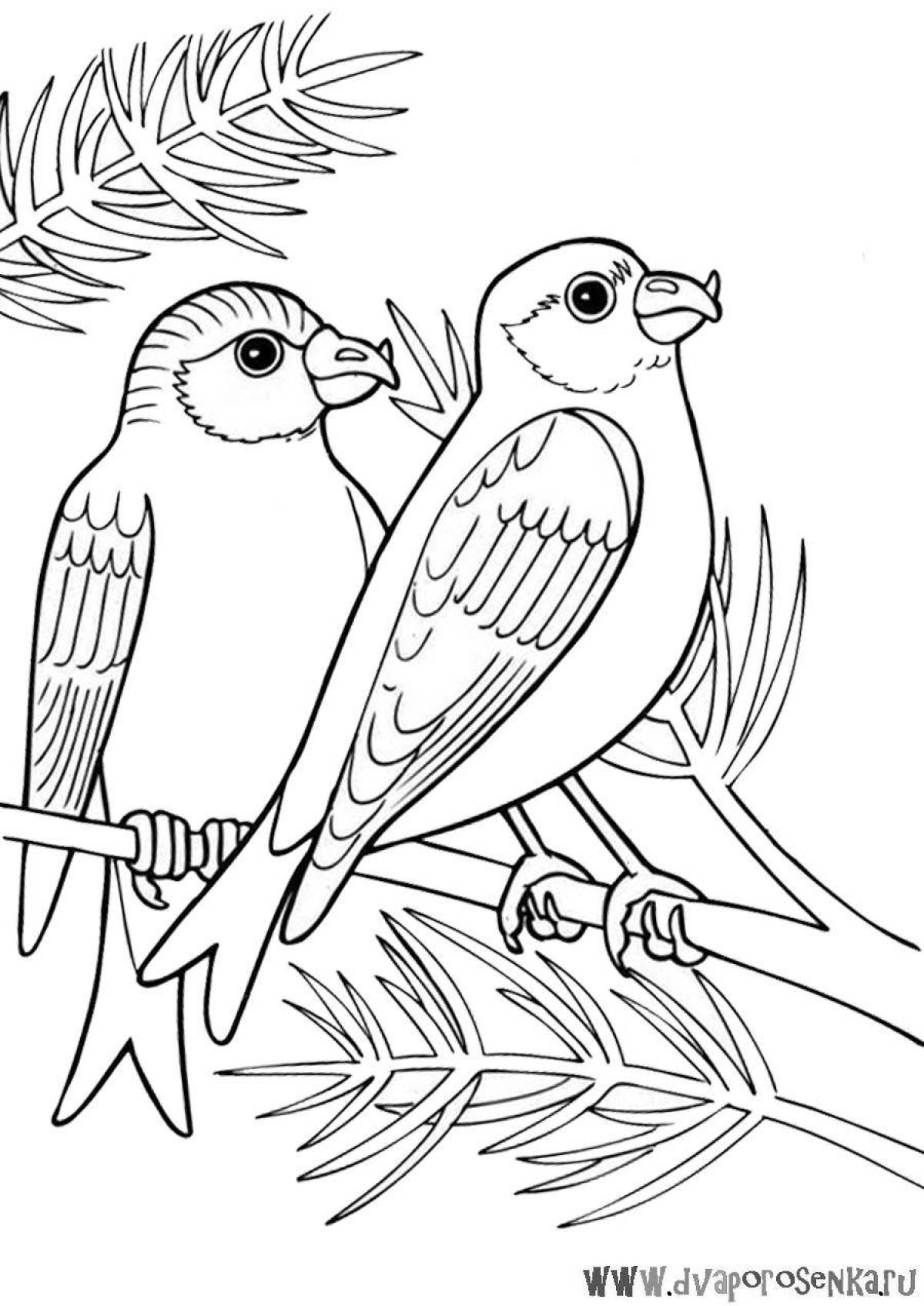 Раскраска радостные зимние птицы для детей 3-4 лет
