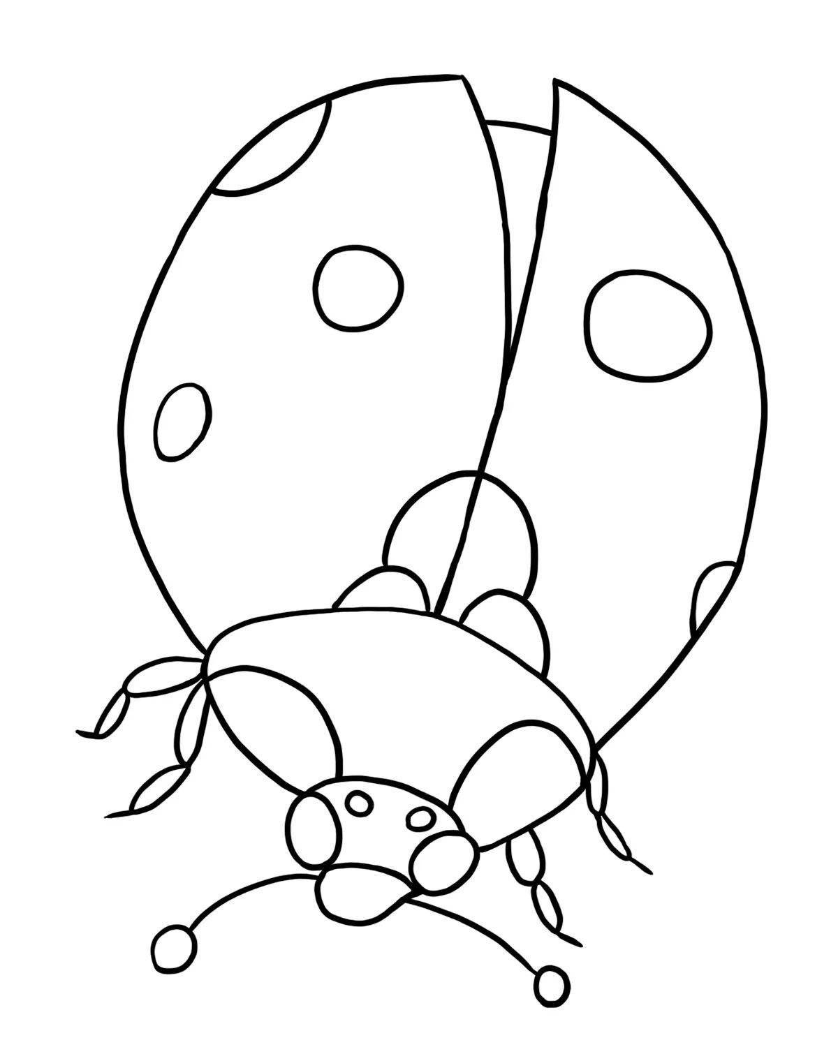 Amusing ladybug coloring book for kids