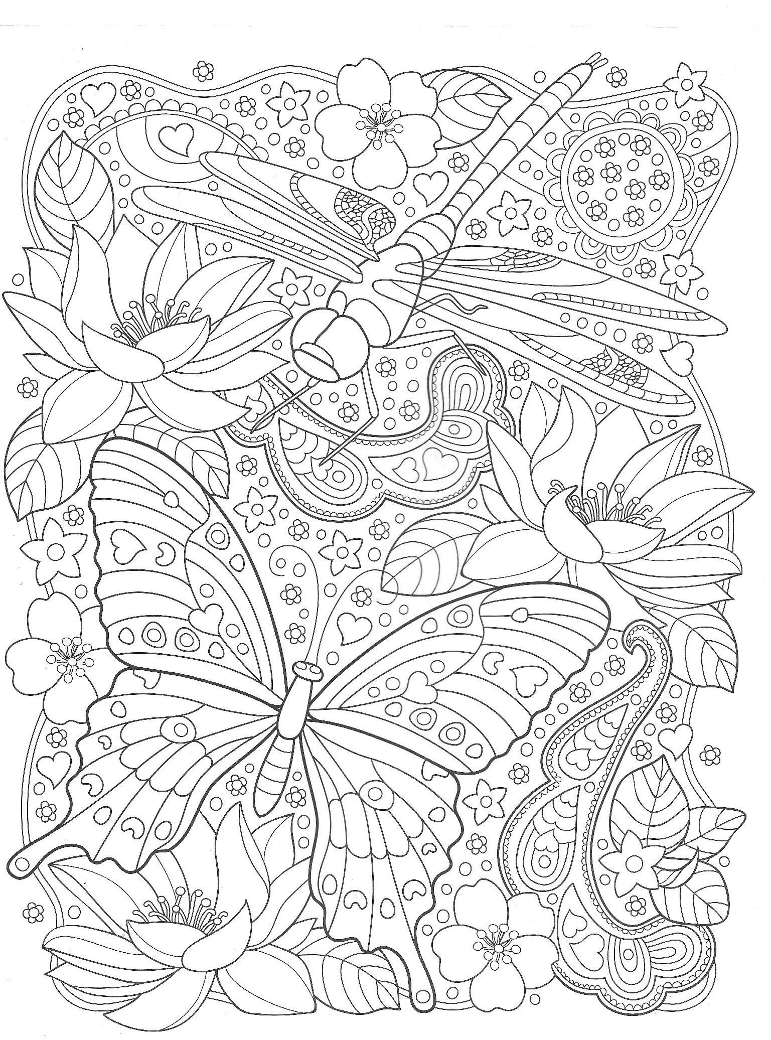 Generous adult coloring book