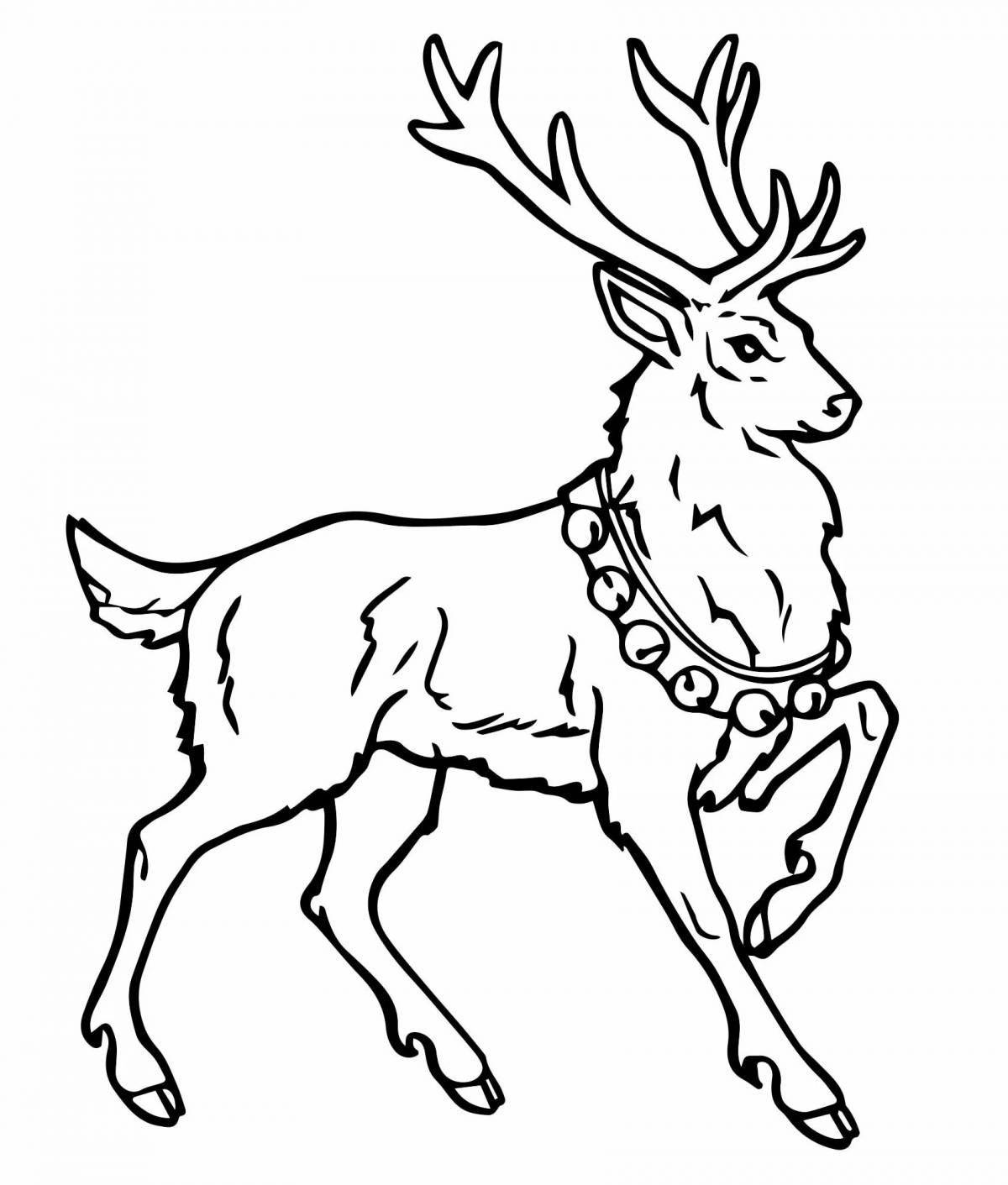 Shiny Christmas reindeer coloring book for kids