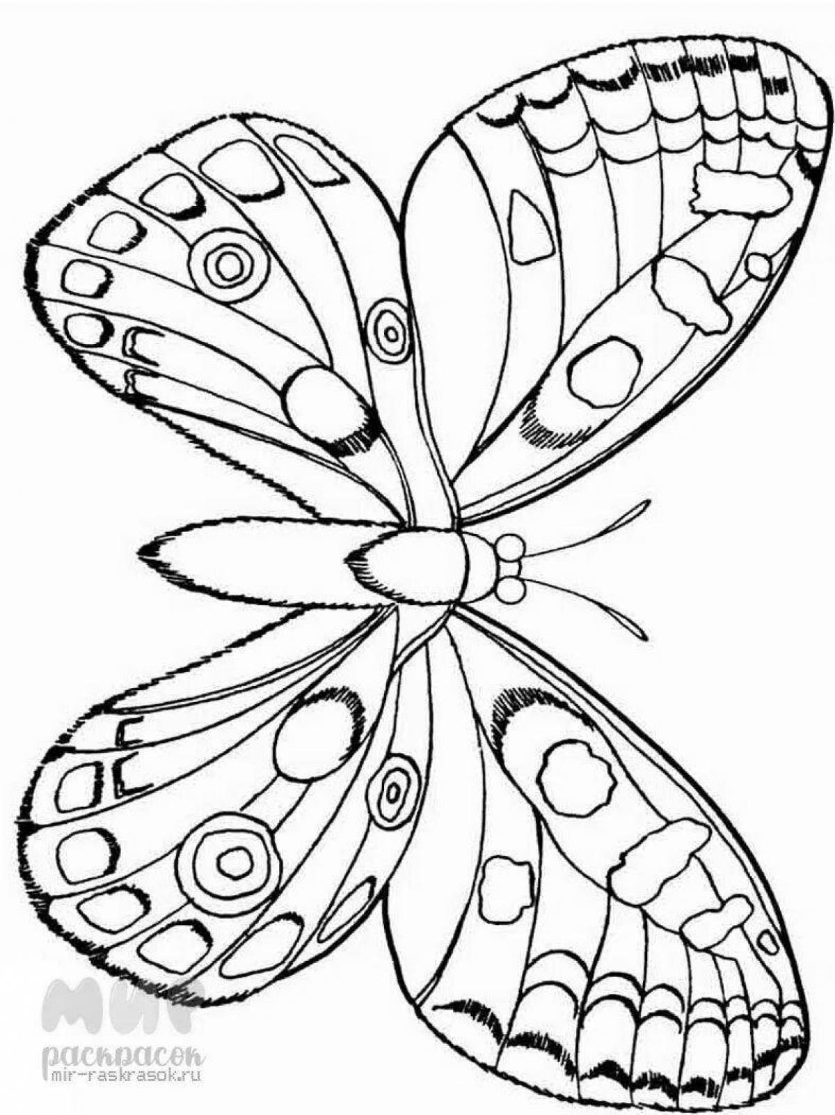 Потрясающий рисунок бабочки для детей