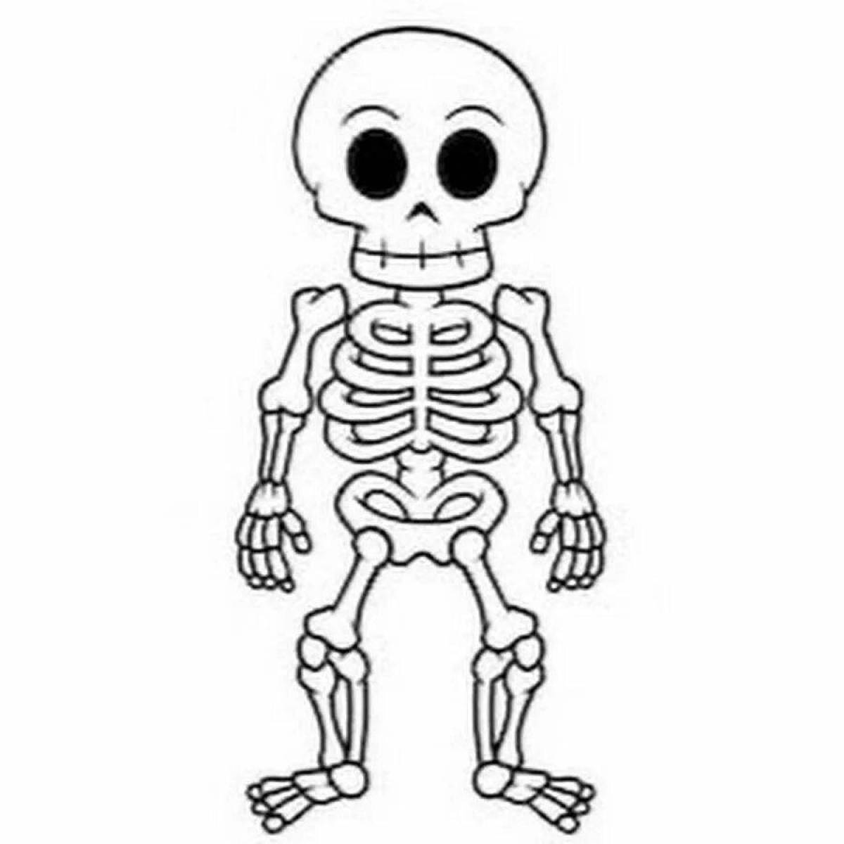 Развлекательная раскраска человеческого скелета для детей