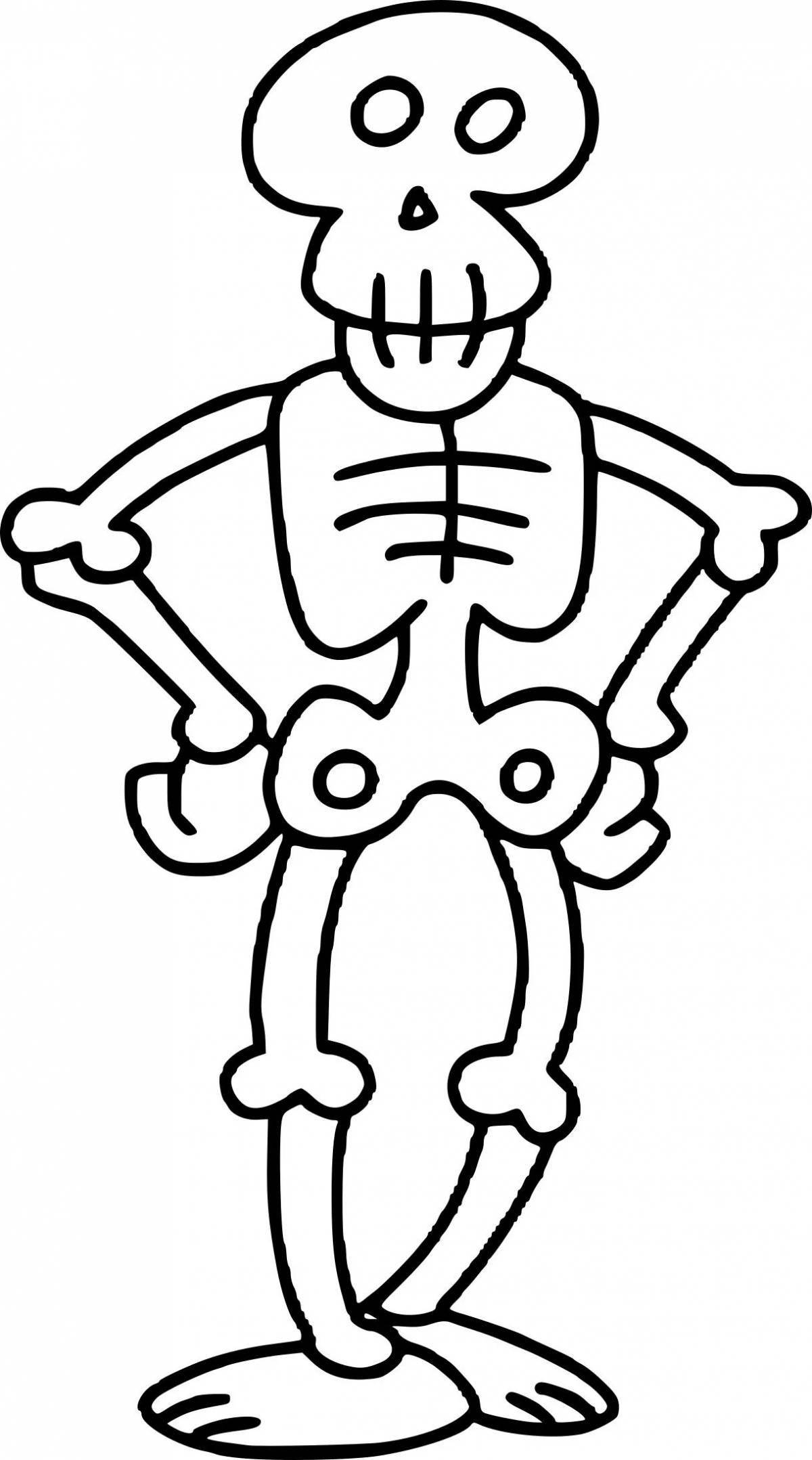 Human skeleton for kids #3