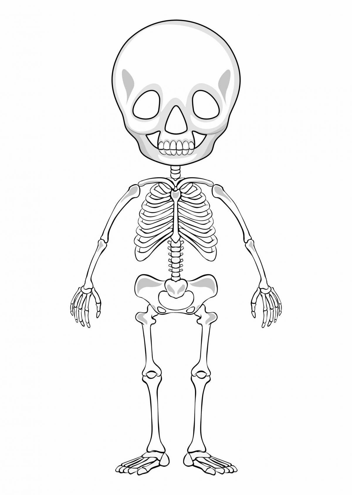 Human skeleton for kids #10