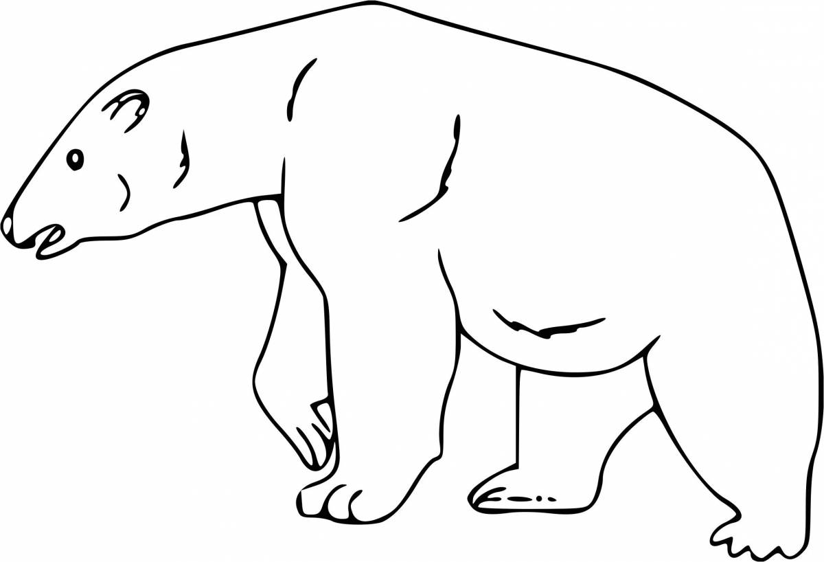 Раскраска изящный белый медведь