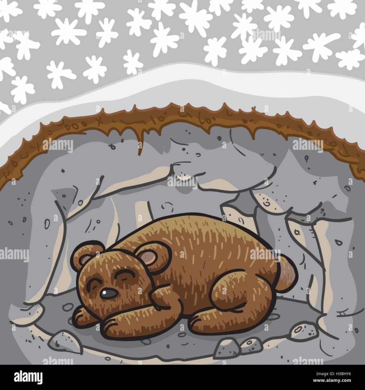 Раскраска сонный медведь в берлоге
