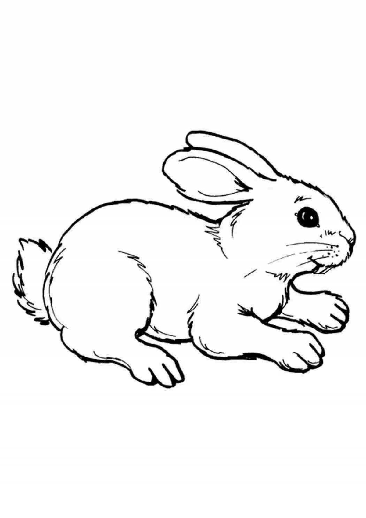 Бодрый кролик-раскраска