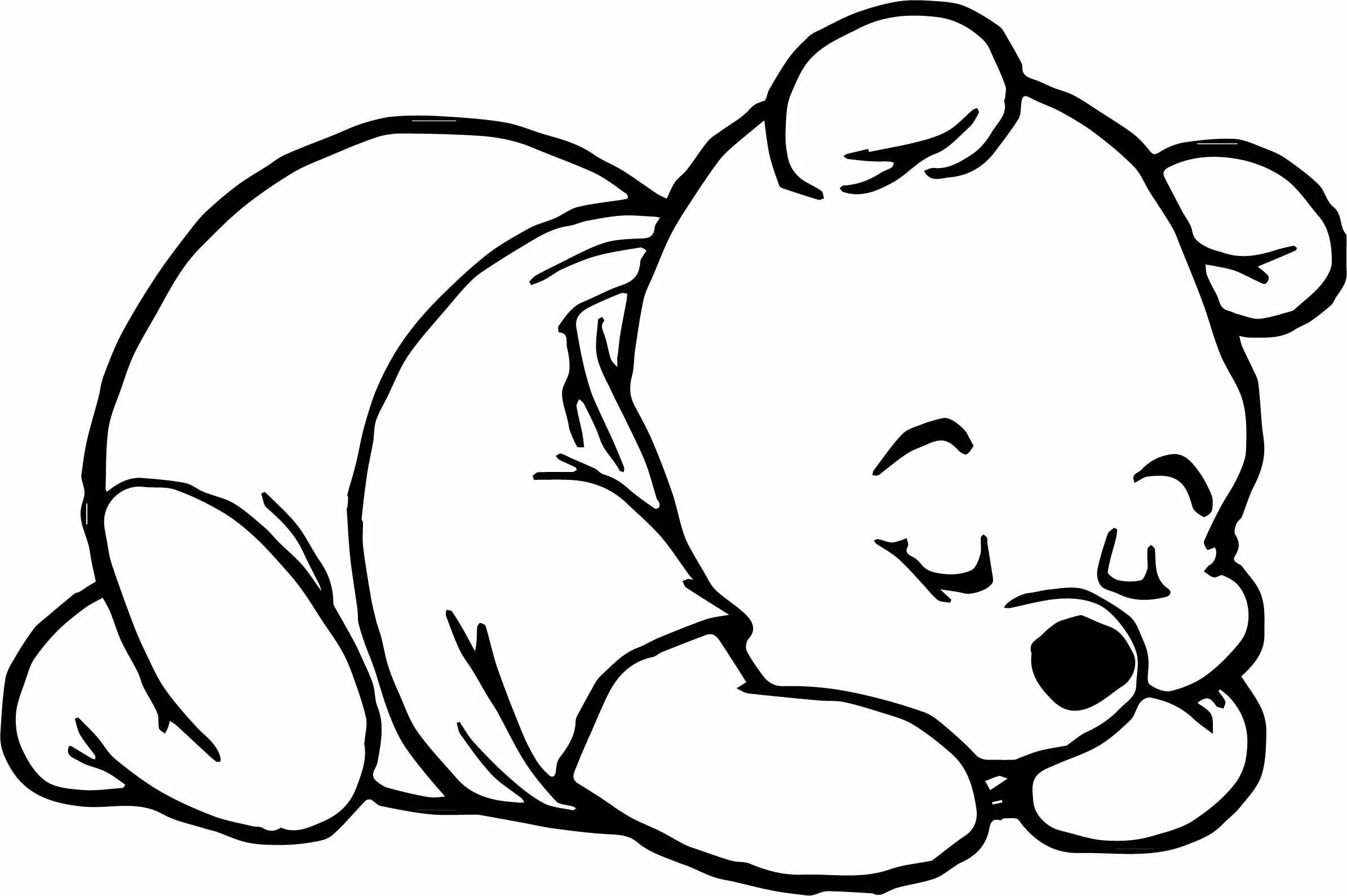 Медведь спит в берлоге для детей #3