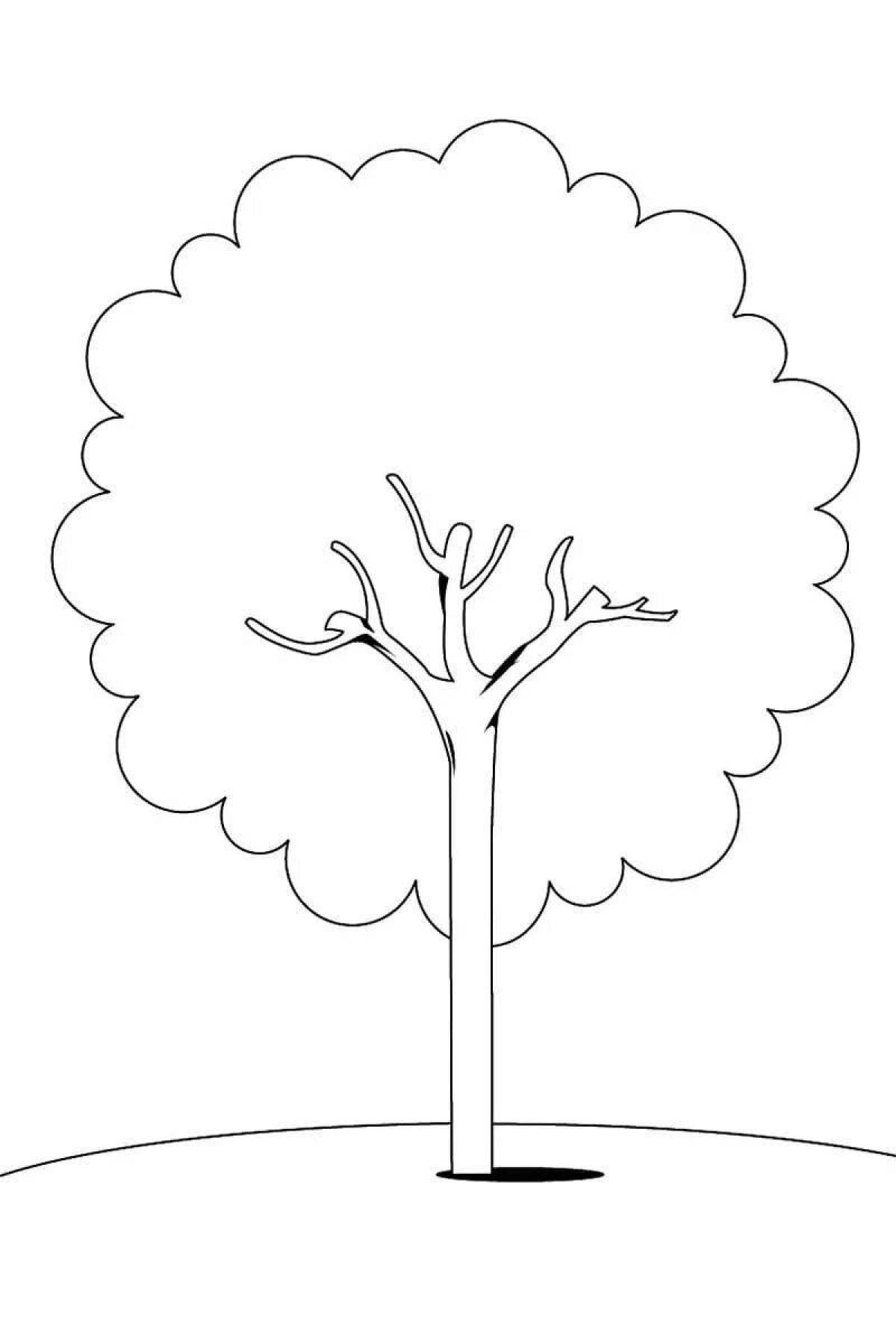 Дерево раскраски для детей. Скачать, распечатать онлайн бесплатно