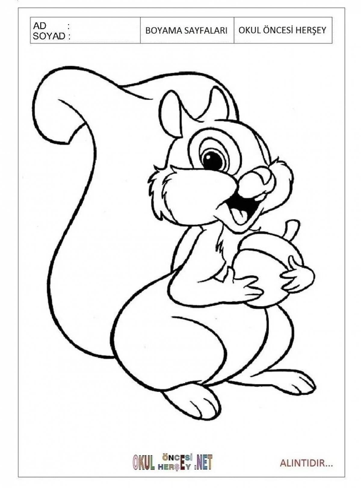 Fancy squirrel coloring book for 2-3 year olds