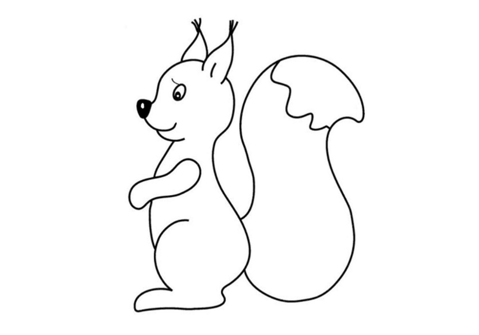 Fun squirrel coloring book for 2-3 year olds
