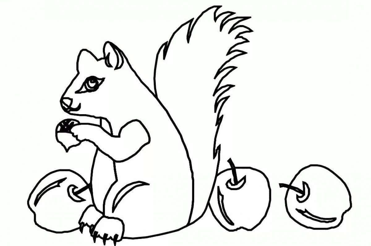 Great squirrel coloring book for 2-3 year olds