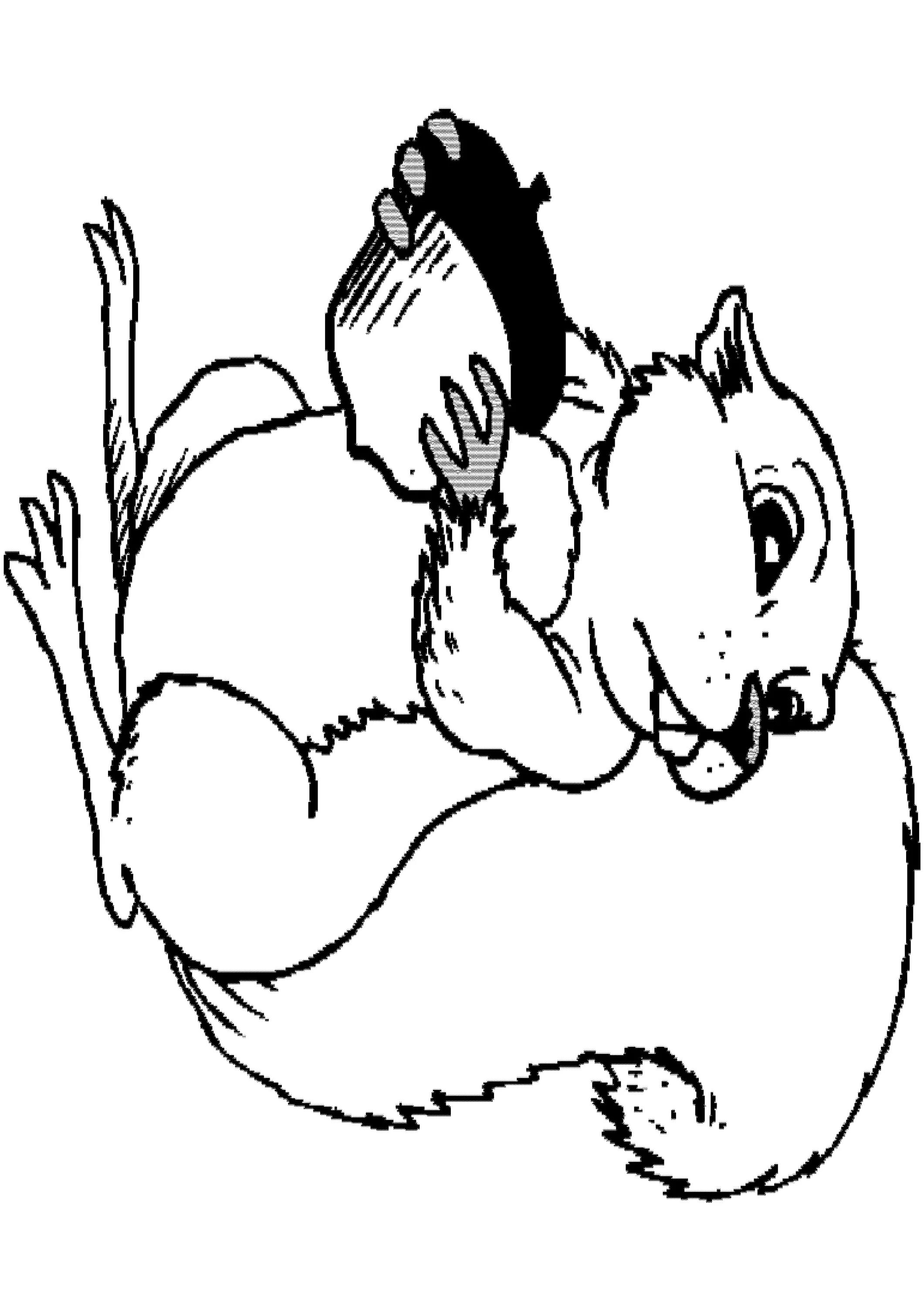 Fun squirrel coloring book for 2-3 year olds