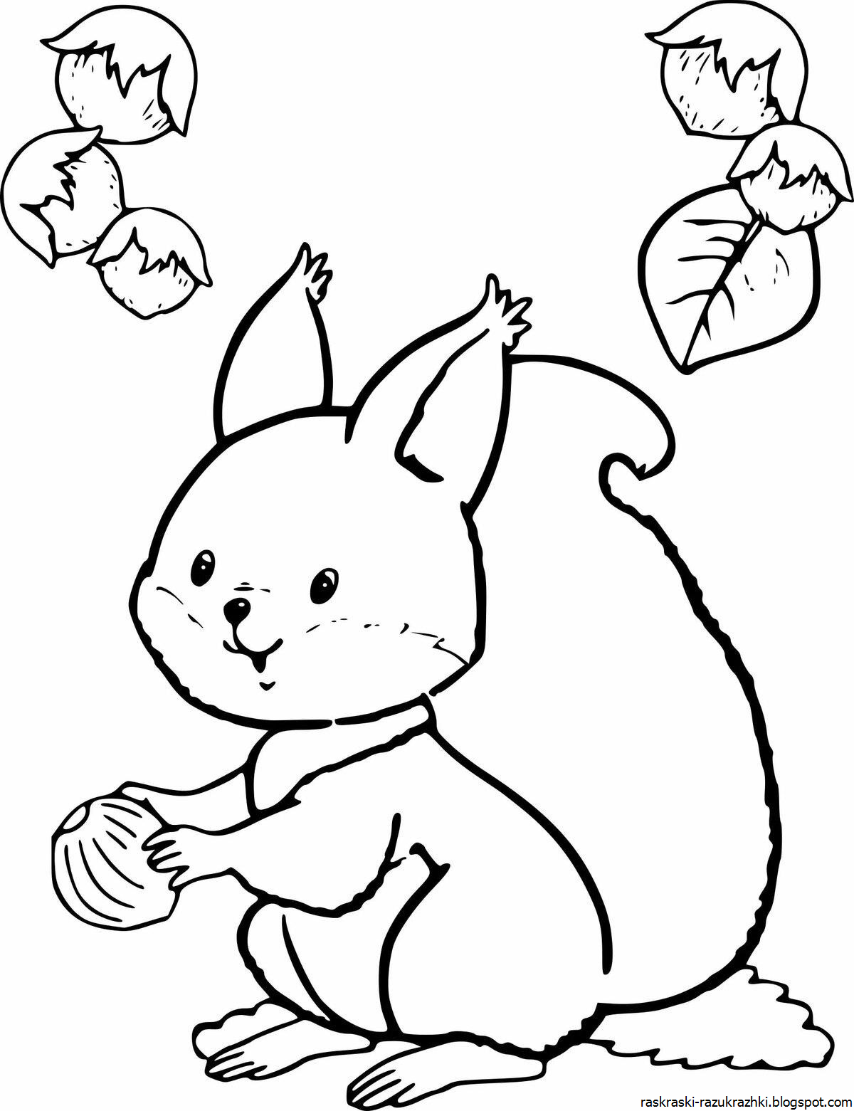 Squirrel humorous coloring book for children 2-3 years old