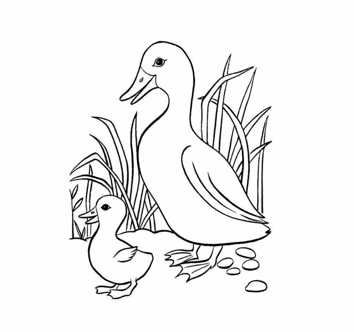 Увлекательная страница раскраски птицы для детей 5-6 лет