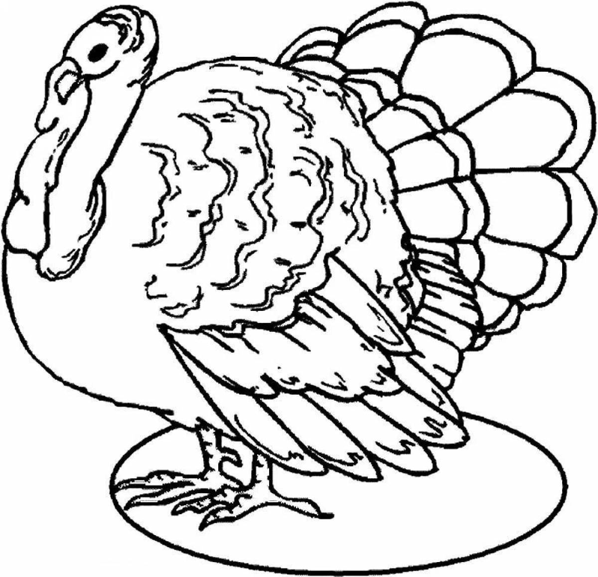 Attractive poultry coloring page for 5-6 year olds
