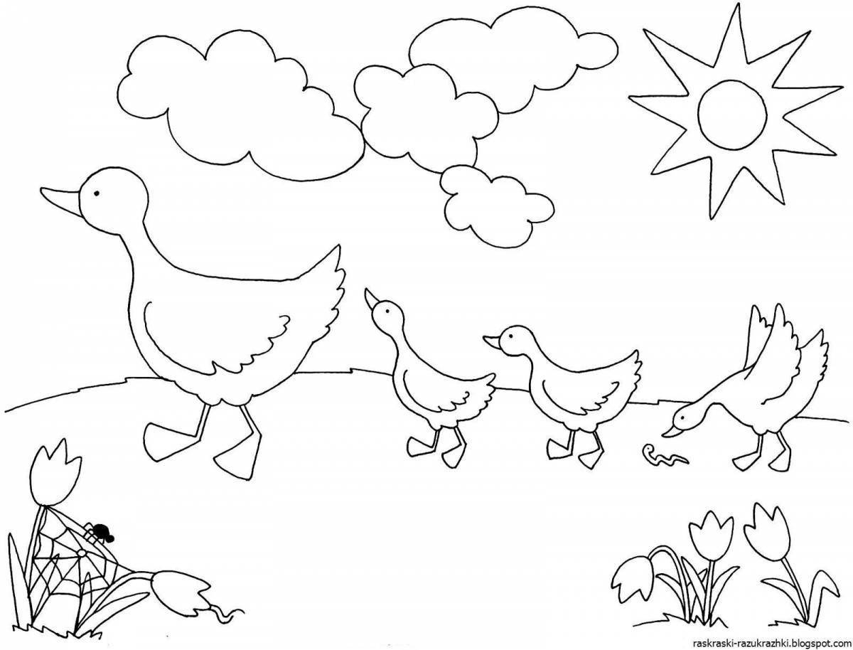 Привлекательная страница раскраски птицы для детей 5-6 лет