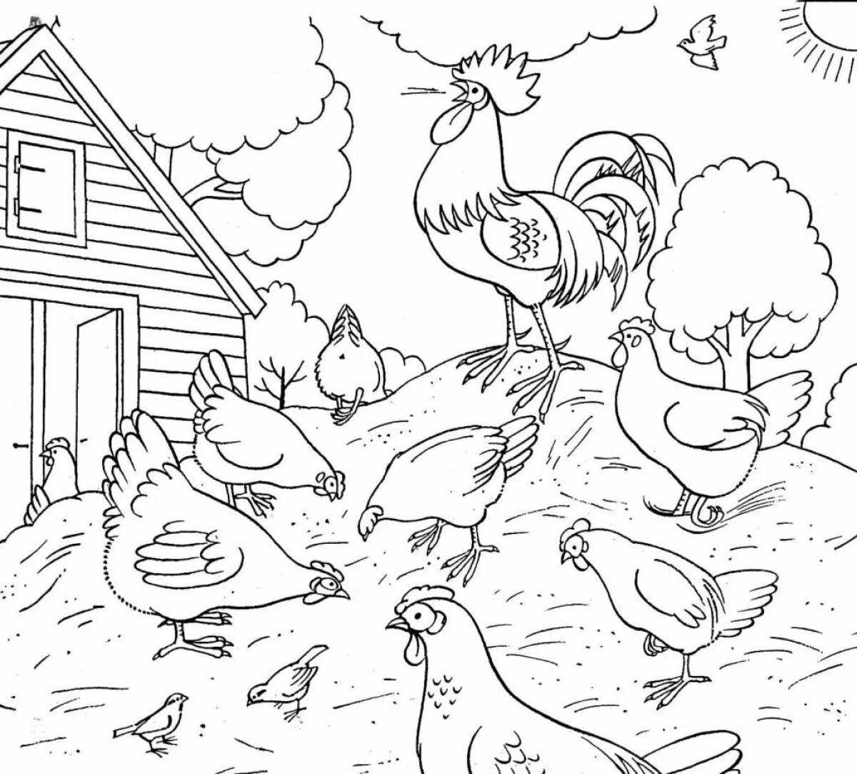 Awesome bird coloring page for 5-6 year olds
