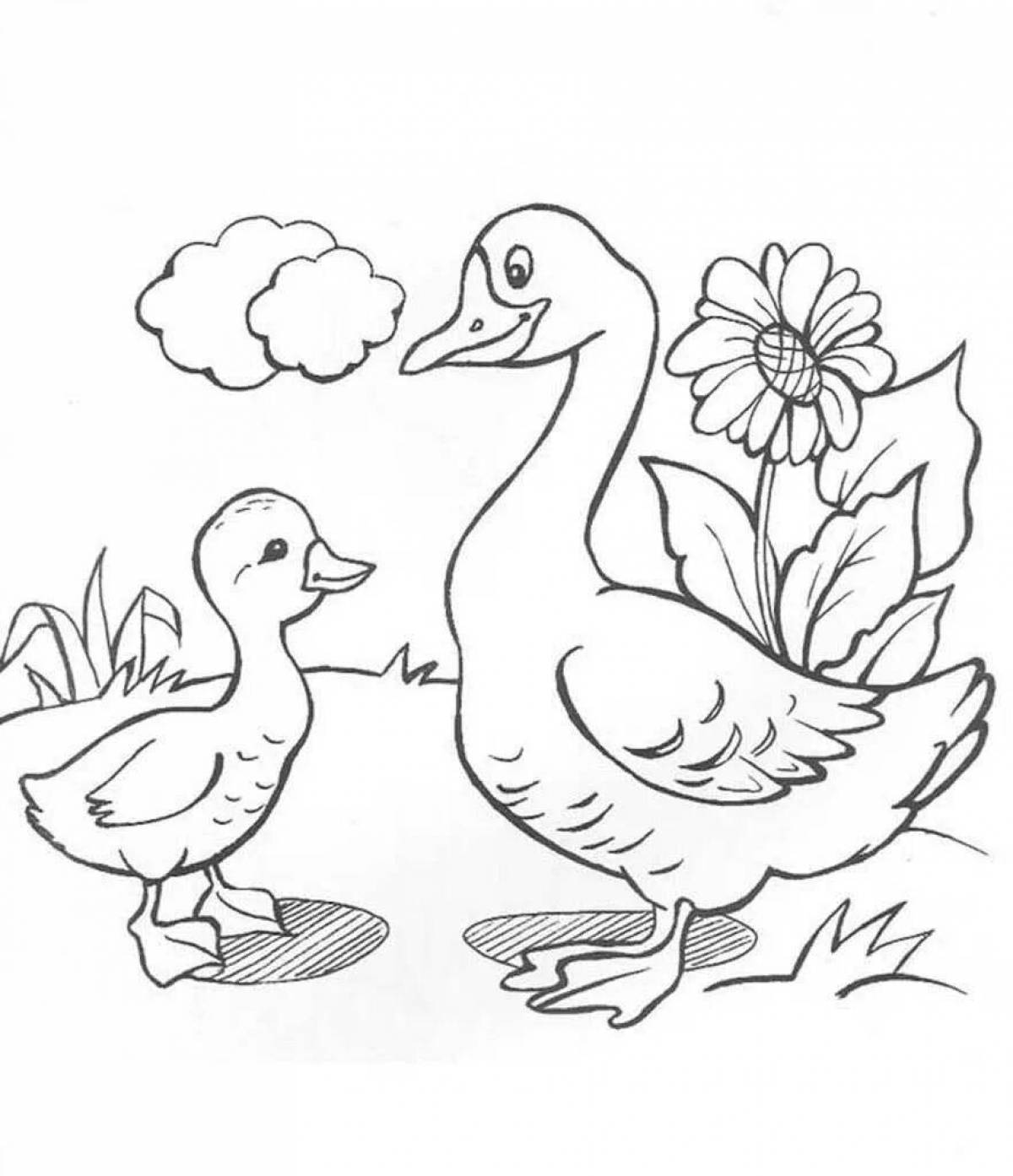 Креативная страница раскраски птицы для детей 6-7 лет