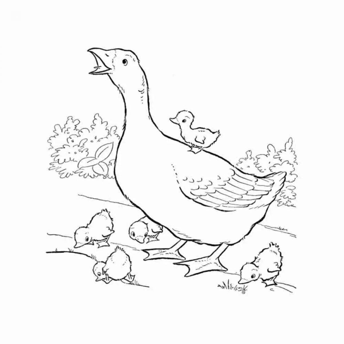 Stimulating bird coloring page for 6-7 year olds