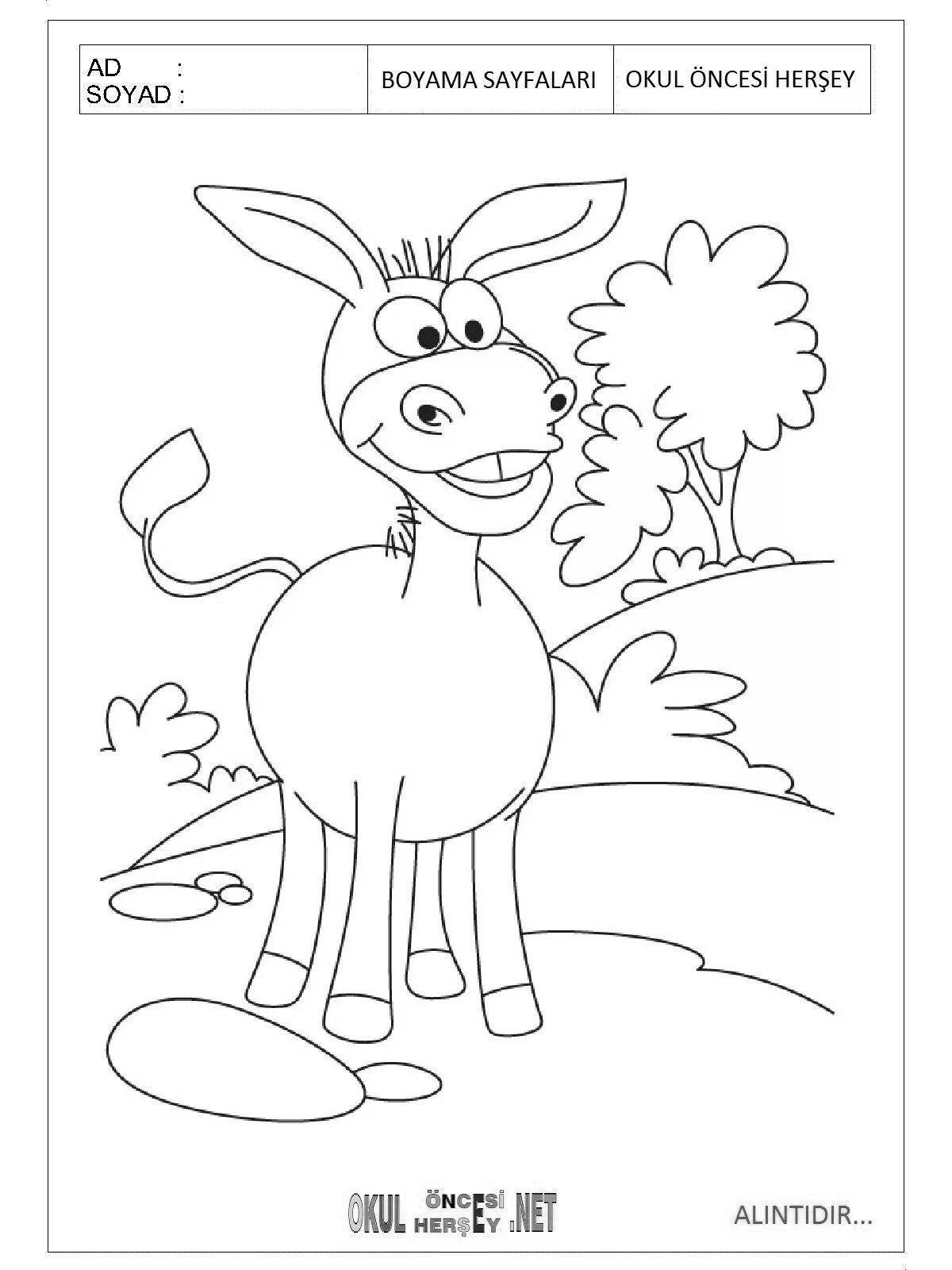 Яркая раскраска осел для детей