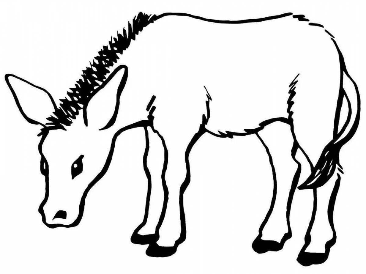 Красочная раскраска осел для малышей