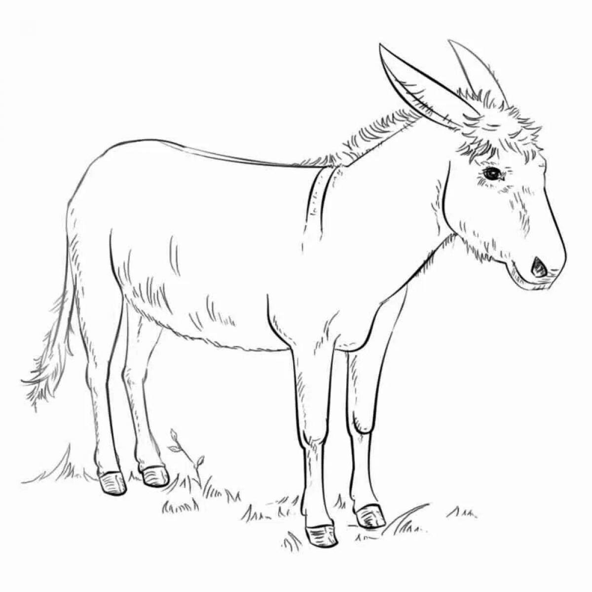 Adorable donkey coloring book for kids